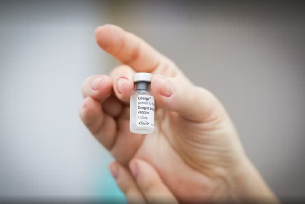 Municípios do RS vão receber doses da vacina contra a dengue