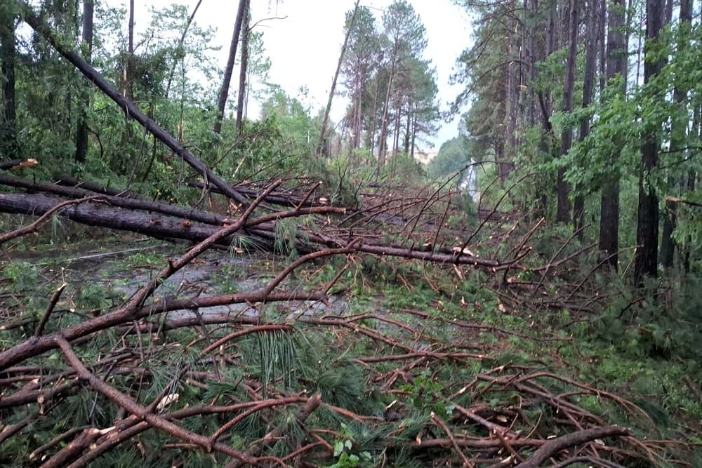 BR-285 está bloqueada entre os municípios de Panambi e Santa Bárbara do Sul