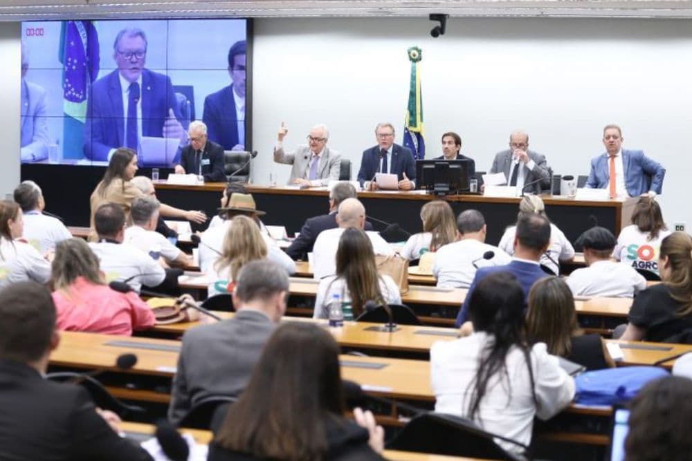 Produtores rurais gaúchos e representantes do setor realizam audiência com Deputados e Senadores para resolver crise de endividamento após secas e enchentes