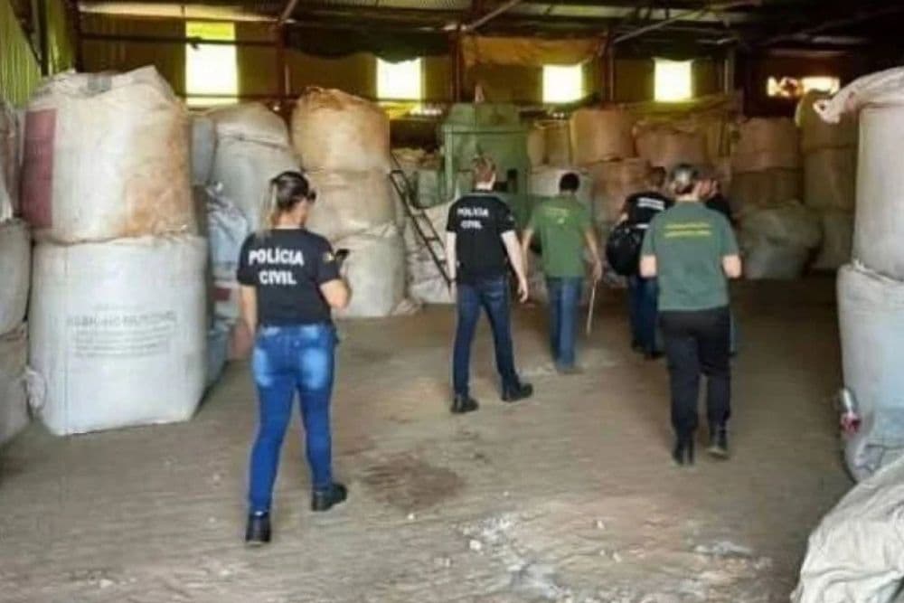 Operação da Polícia Civil apreende mais de 5 mil quilos de sementes em Giruá