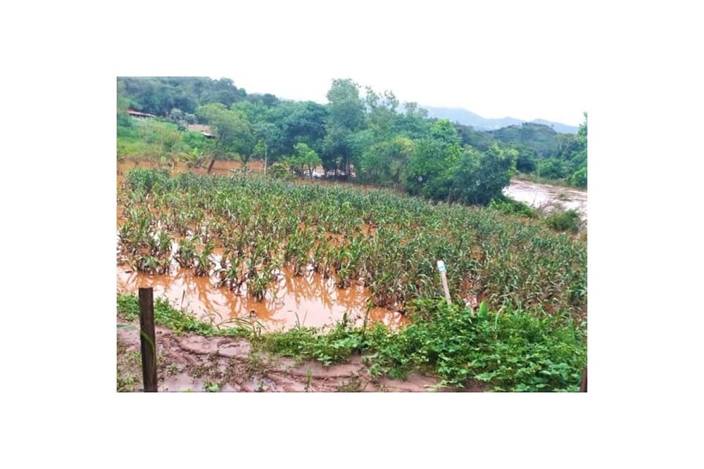 Chuvas provocam perdas de 119 mil hectares em Minas Gerais