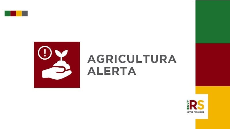 Secretaria da Agricultura reforça alerta sobre golpes, principalmente nesta época do ano