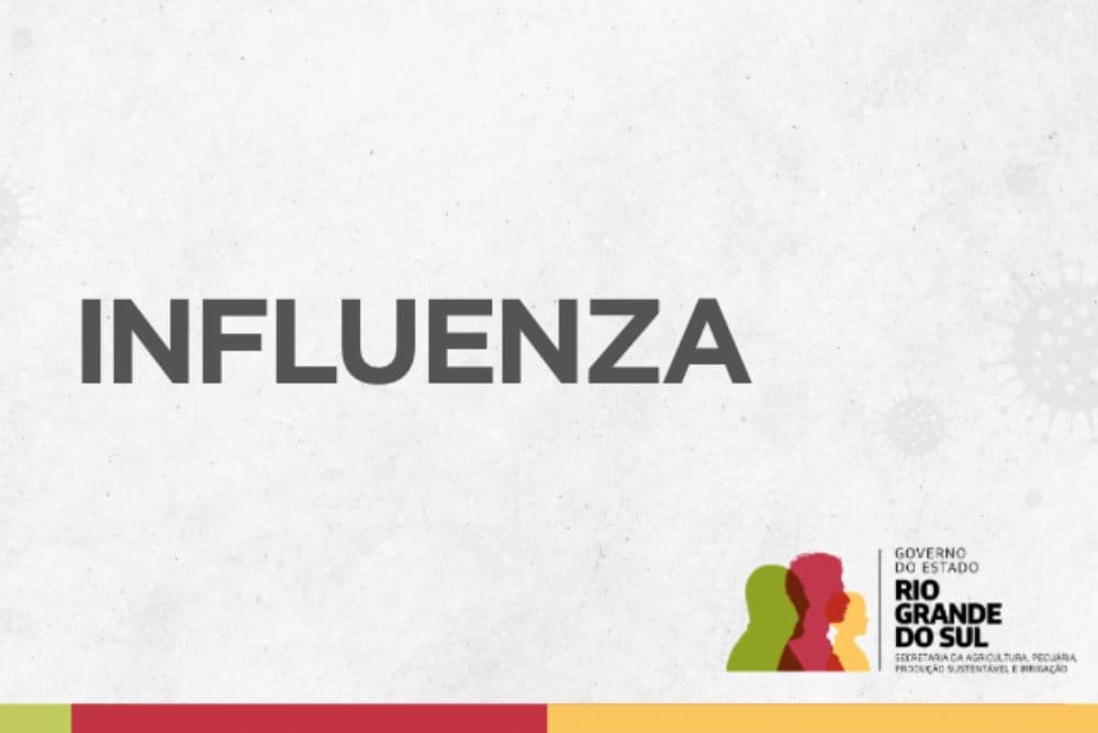 Seapi lança alerta para influenza aviária