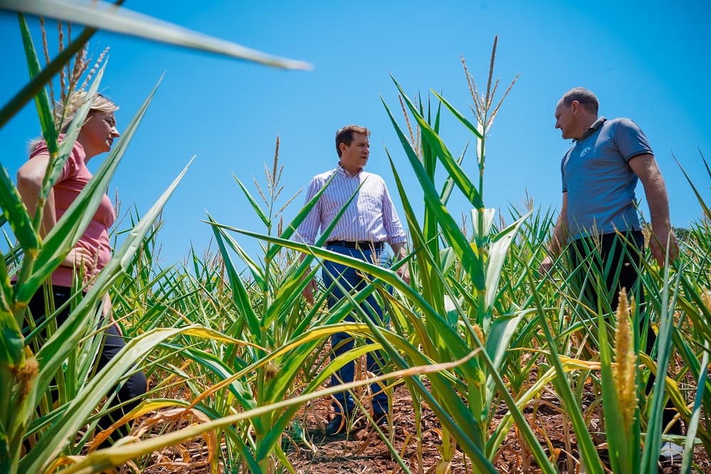 Devido à estiagem, presidente da Assembleia irá sugerir ao governador desoneração para incentivar irrigação