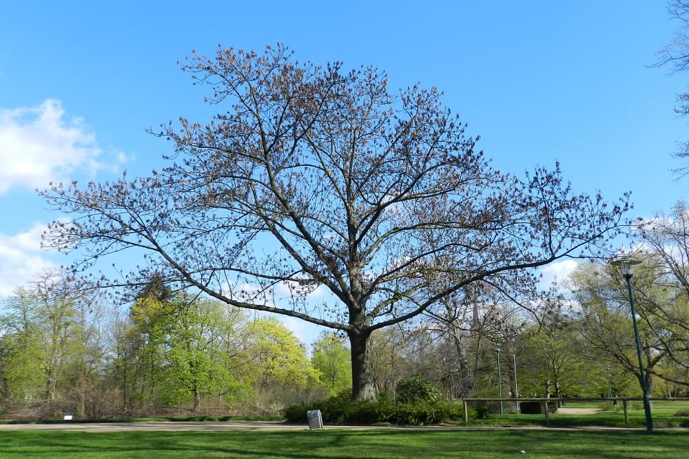 Tempo começa a mudar nesta terça-feira no RS