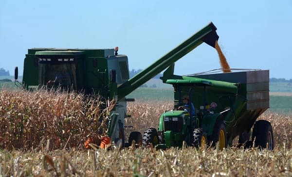 Jaguarão sediará Abertura Oficial da Colheita do Milho