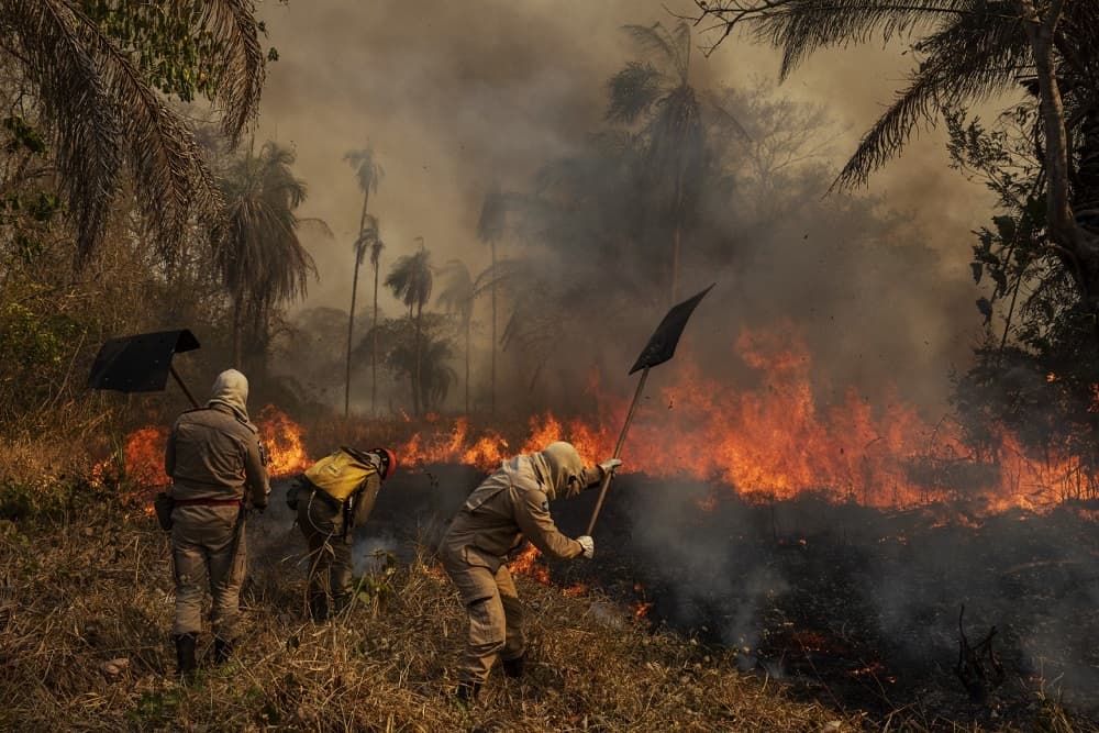Vídeo é tirado de contexto para dizer que brigadistas estariam causando incêndio no Pantanal