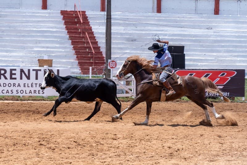Estudo indica que rodeios movimentaram mais de R$ 2 bilhões no Rio Grande do Sul em 2023