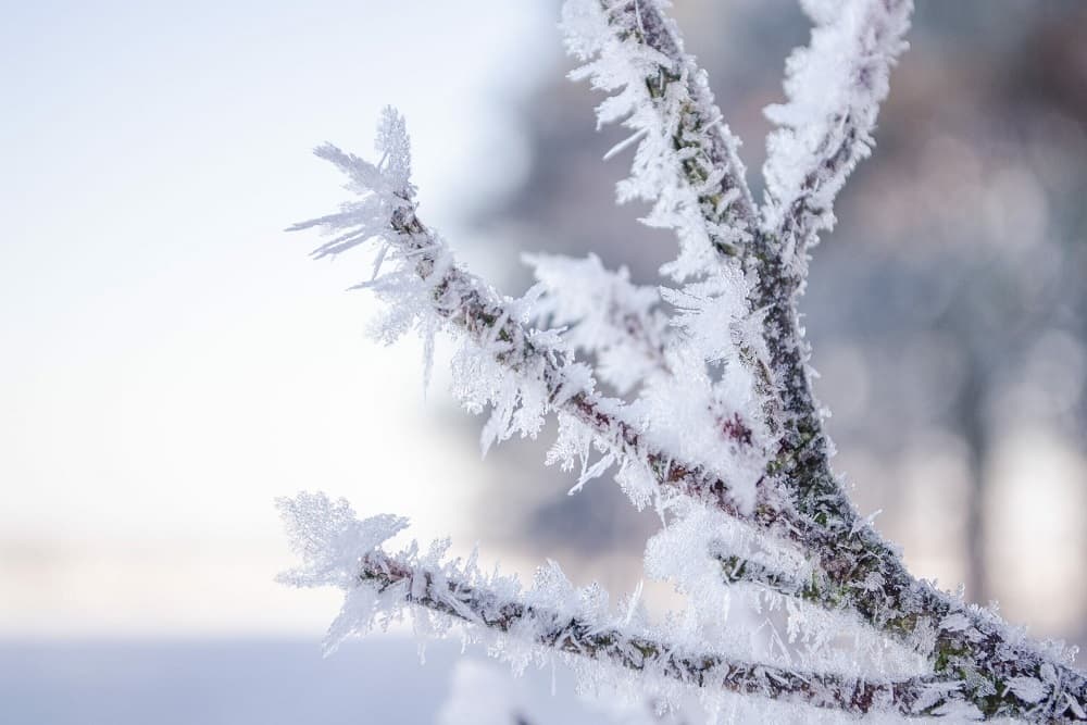 Agosto terá três ondas de frio alternadas com dias quentes; confira a previsão do mês