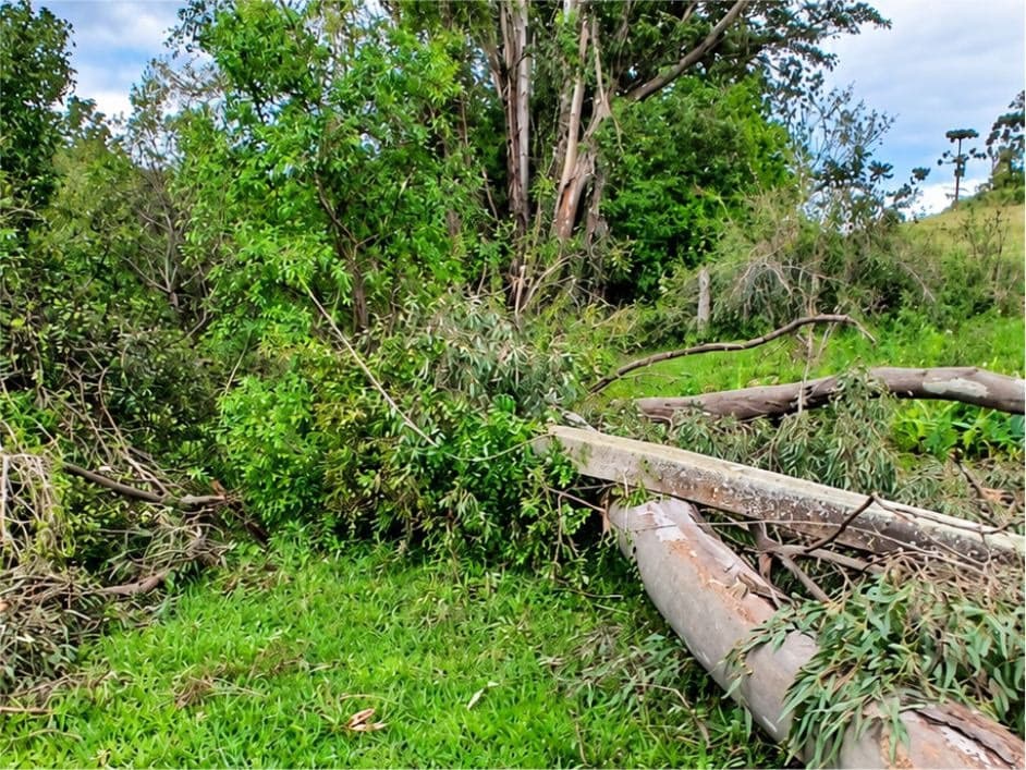 Terceira onda de temporais atinge a região e deixa unidades consumidoras sem energia