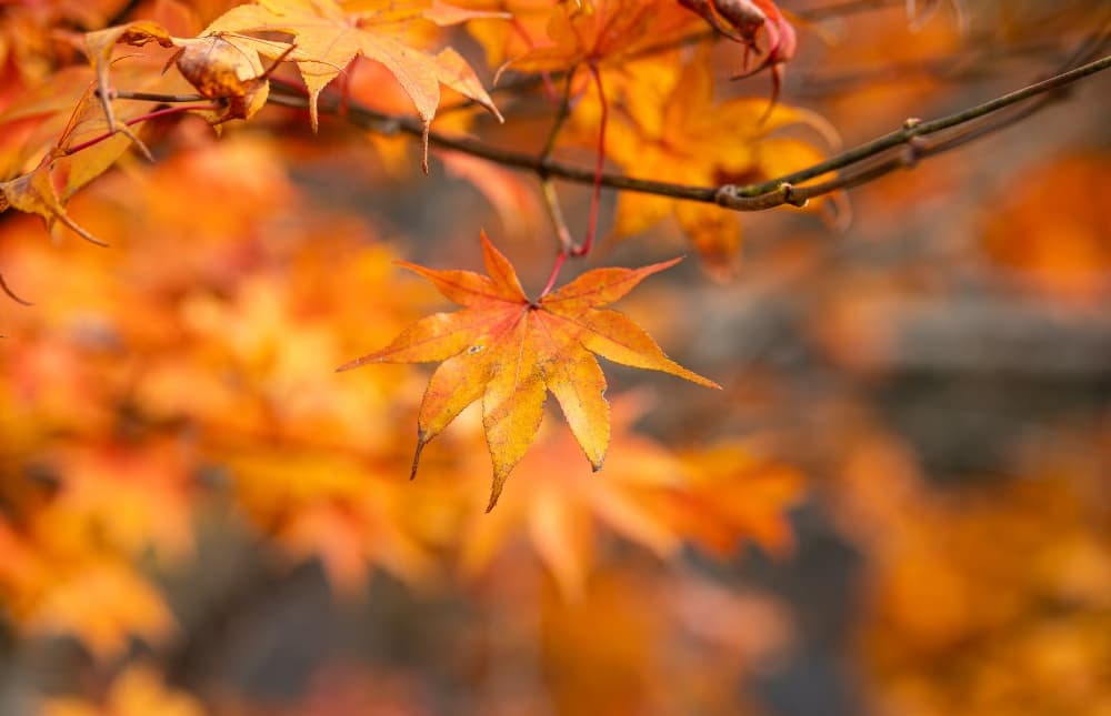 Calor e pouca chuva: início do outono no RS segue com cara de verão